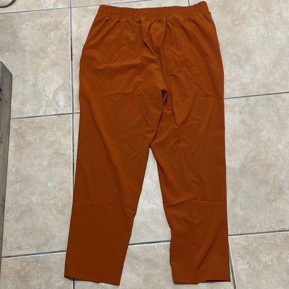 Rust Colored Pants - Picture 3 of 3